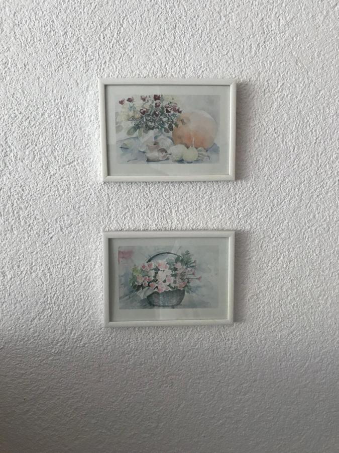 Apartment Daniela Radolfzell am Bodensee Zewnętrze zdjęcie